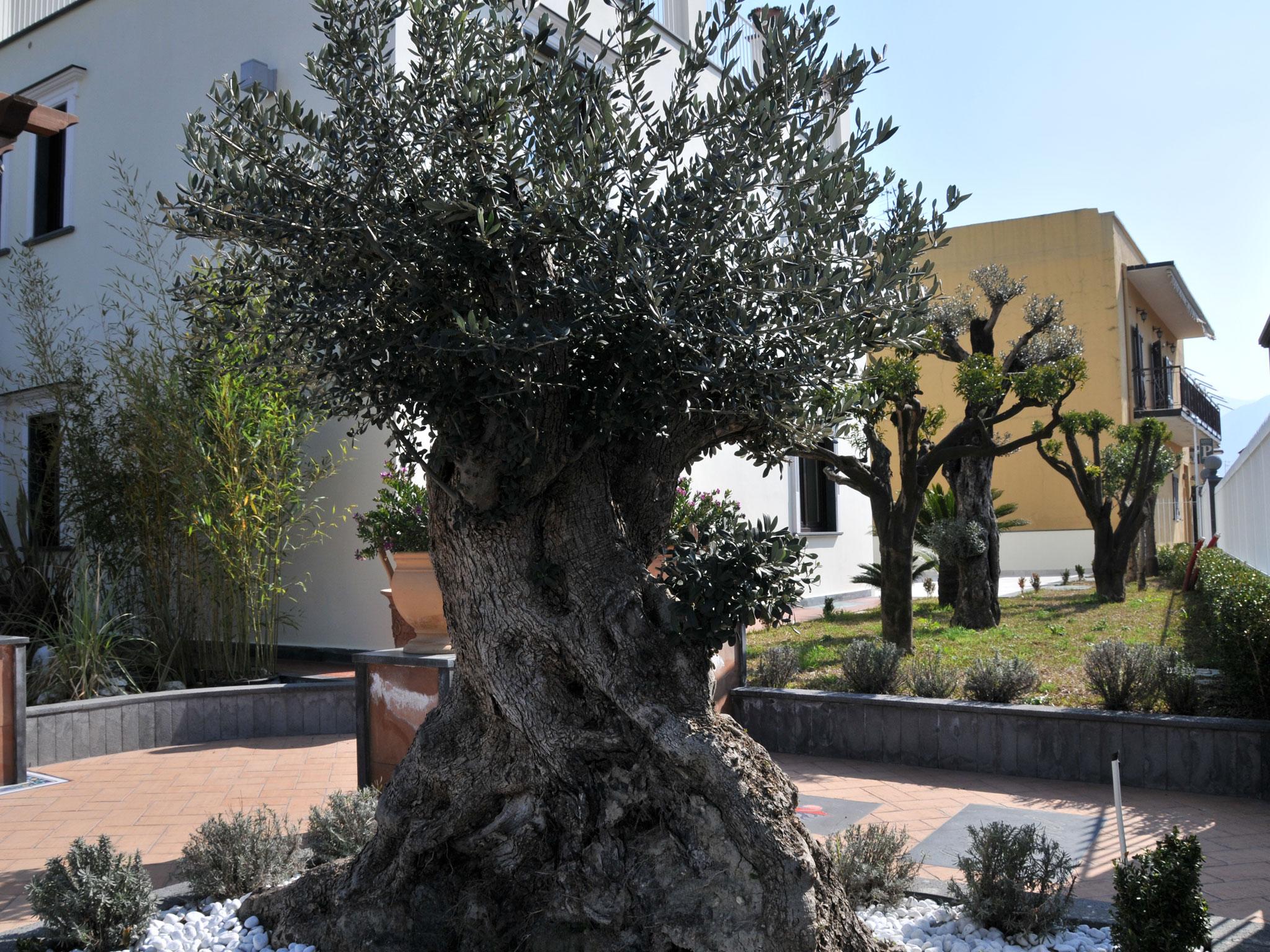 Costa Hotel Pompei Exterior foto